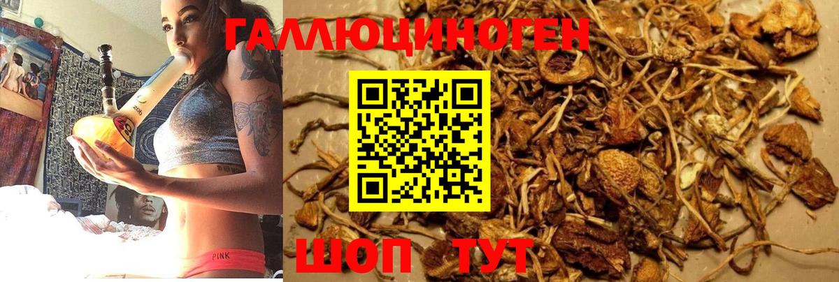 Галлюциногенные грибы Psilocybine cubensis Учалы